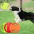 Petopia Frisbee pour chien