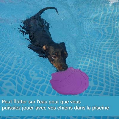Pet Planet Chiens Deux - Pack Disques Volants en Caoutchouc Naturel
