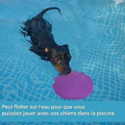 Pet Planet Chiens Deux - Pack Disques Volants en Caoutchouc Naturel