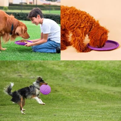 Pet Planet Chiens Deux - Pack Disques Volants en Caoutchouc Naturel