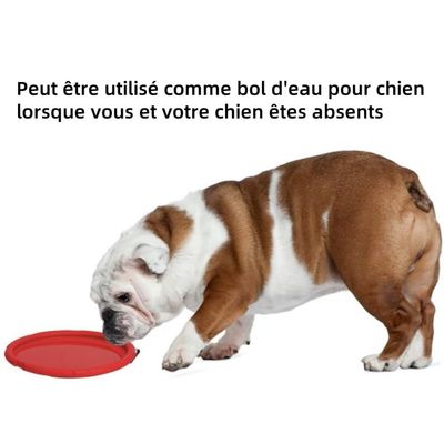 Pet Planet Chiens Deux - Pack Disques Volants en Caoutchouc Naturel