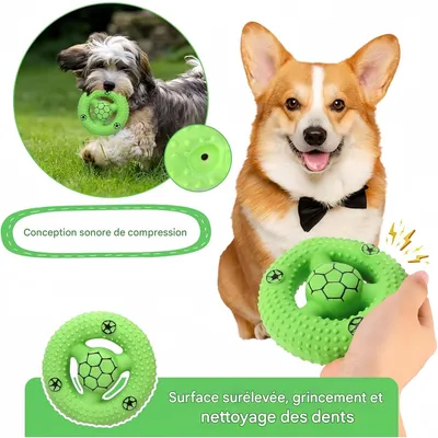 Pet Planet Chiens JouetsSet Jouet en Latex Interactif