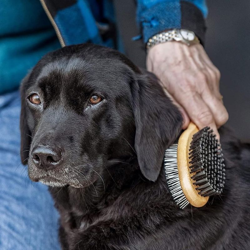 Petopia Brosse double face pour chien et chat