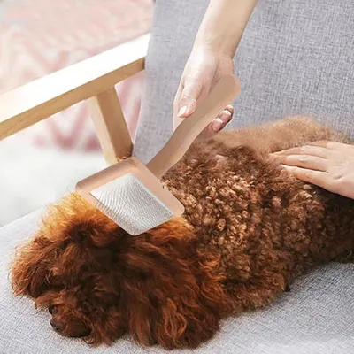 Petopia Peigne de toilettage pour animaux de compagnie