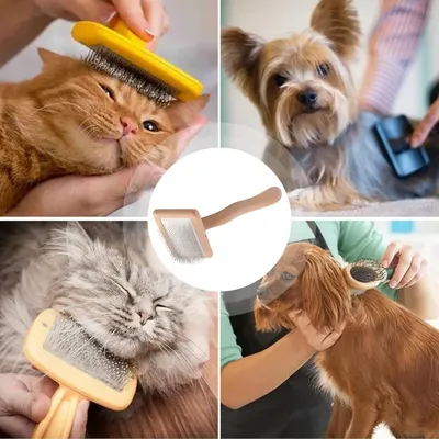 Petopia Peigne de toilettage pour animaux de compagnie