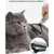 Petopia Brosse de toilettage pour chien et chat