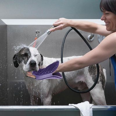 Petopia Gants de Toilettage pour Chiens