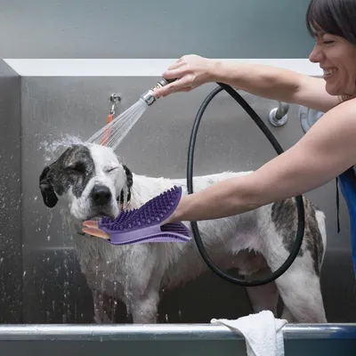 Petopia Gants de Toilettage pour Chiens