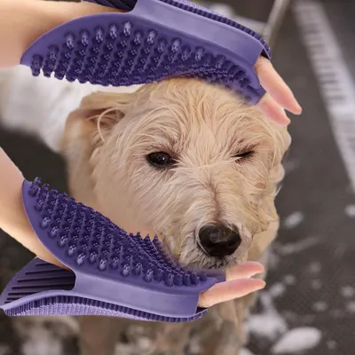 Petopia Gants de Toilettage pour Chiens