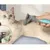 Pet Planet Animaux De Compagnie Peigne De Fournitures