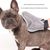 Pet Planet Chiens/Chats Deux - Pack Gants de Toilettage