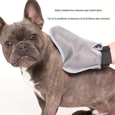 Pet Planet Chiens/Chats Deux - Pack Gants de Toilettage