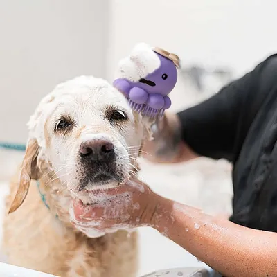 Petopia Brosse de toilettage en silicone pour animaux de compagnie