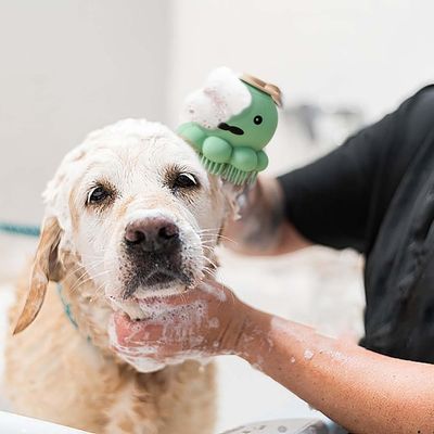 Petopia Brosse de toilettage en silicone pour animaux de compagnie