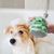 Petopia Brosse de toilettage en silicone pour animaux de compagnie