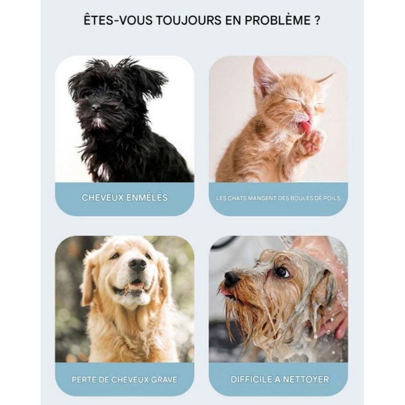 Petopia Brosse de toilettage pour chien et chat