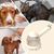 Petopia Brosse de bain pour animal de compagnie