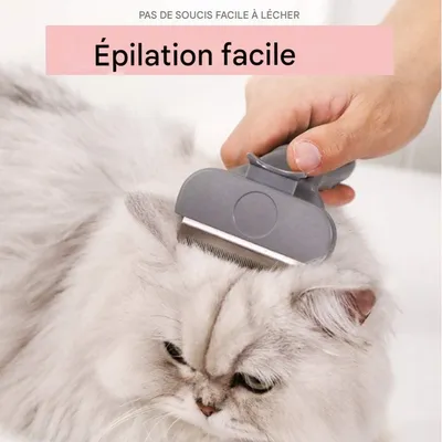 Pet Planet Animaux De Compagnie Peigne De Fournitures