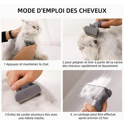 Pet Planet Animaux De Compagnie Peigne De Fournitures