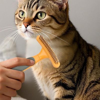 Petopia Brosse à Sous - Poil pour Chien