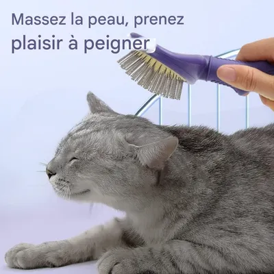 Petopia Peigne de massage pour animaux de compagnie