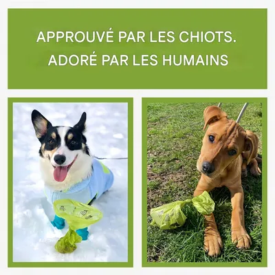 Pet Planet Sacs à crottes pour chiens, 300 sacs par rouleau