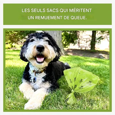 Pet Planet Sacs à crottes pour chiens, 300 sacs par rouleau