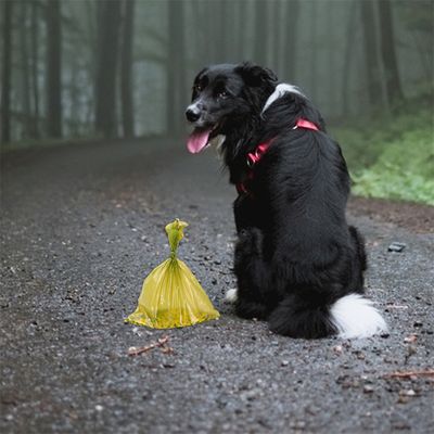 Pet Planet Sacs à crottes pour chiens, 300 sacs par rouleau
