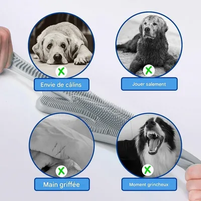 Pet Planet Animaux de Compagnie Gants de Beauté en Silicone