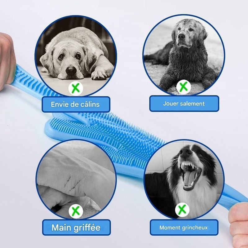 Pet Planet Animaux de Compagnie Gants de Beauté en Silicone