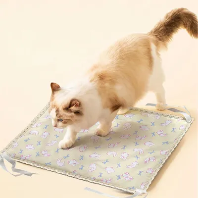 IntiMeg Tapis Rafraîchissant pour Chiens et Chats