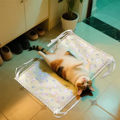 IntiMeg Tapis Rafraîchissant pour Chiens et Chats