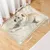 IntiMeg Tapis Rafraîchissant pour Chiens et Chats