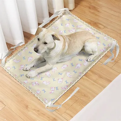 IntiMeg Tapis Rafraîchissant pour Chiens et Chats
