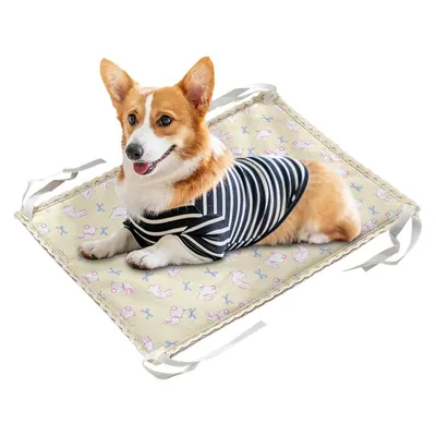 IntiMeg Tapis Rafraîchissant pour Chiens et Chats