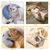 Pet Planet Chats Et Chiots Oreiller En Forme De U