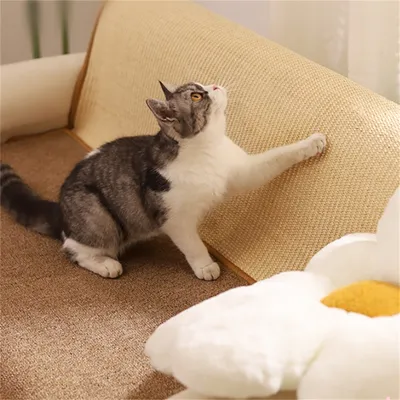 IntiMeg Tapis griffoir pour Chats