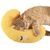 Pet Planet Coussin pour chien et chat pour protéger le cou