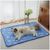 Pet Planet Tapis rafraîchissant pour chiens et chats