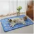 Pet Planet Tapis rafraîchissant pour chiens et chats