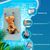 Pet Planet Tapis rafraîchissant pour chien 50×40cm