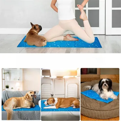 Pet Planet Tapis rafraîchissant pour chien 50×40cm