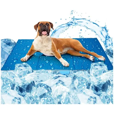 Pet Planet Tapis rafraîchissant pour chien 50×40cm