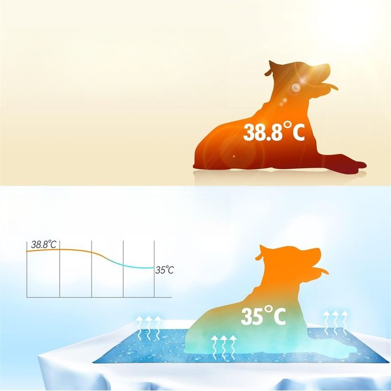 Pet Planet Tapis rafraîchissant pour chien 50×40cm