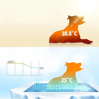 Pet Planet Tapis rafraîchissant pour chien 50×40cm