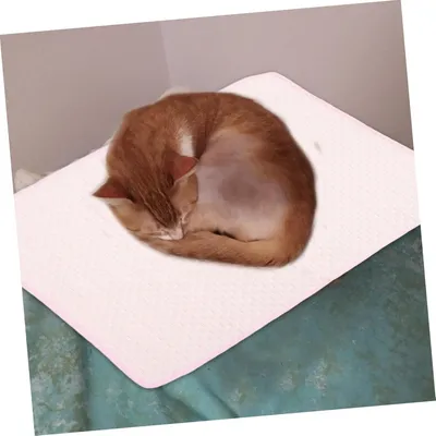 Pet Planet Animaux Cool Summer Tapis Rafraîchissant