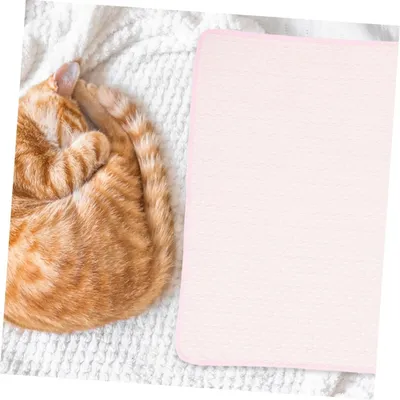 Pet Planet Animaux Cool Summer Tapis Rafraîchissant