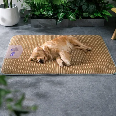 Pet Planet Tapis de fraîcheur pour chien et chat