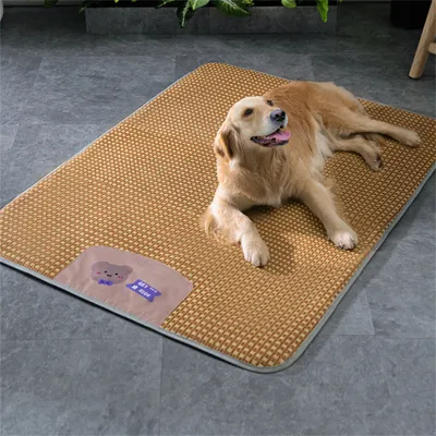 Pet Planet Tapis de fraîcheur pour chien et chat