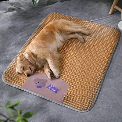 Pet Planet Tapis de fraîcheur pour chien et chat